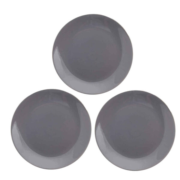 Ceramic Dinnerware Plate - Perfect for Everyday Occasions and Dishwasher Safe (Set of 3)