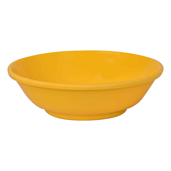 Durable Melamine Bowl – For Serving Yogurt, Soup, Ash, Salad and Picnics (Pack of 2)