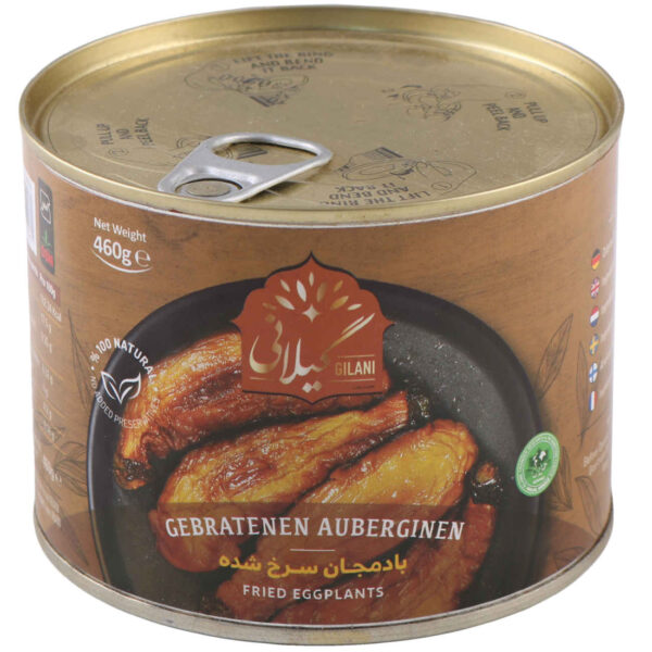 Fried Eggplant - Gilani Canned Food 460 gram Pack of 5