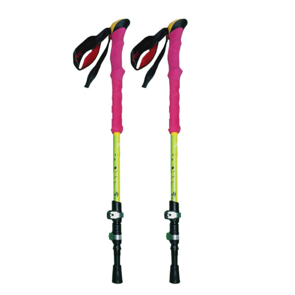 Hiking Pole - Best Choices for Every Budget Support, Safety & Comfort Pack of 2