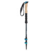 Hiking Pole - Best Choices for Every Camping Support, Safety & Comfort