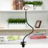 Metal Adjustable Desk Lamp - Flexible Lamp Perfect for Any Space