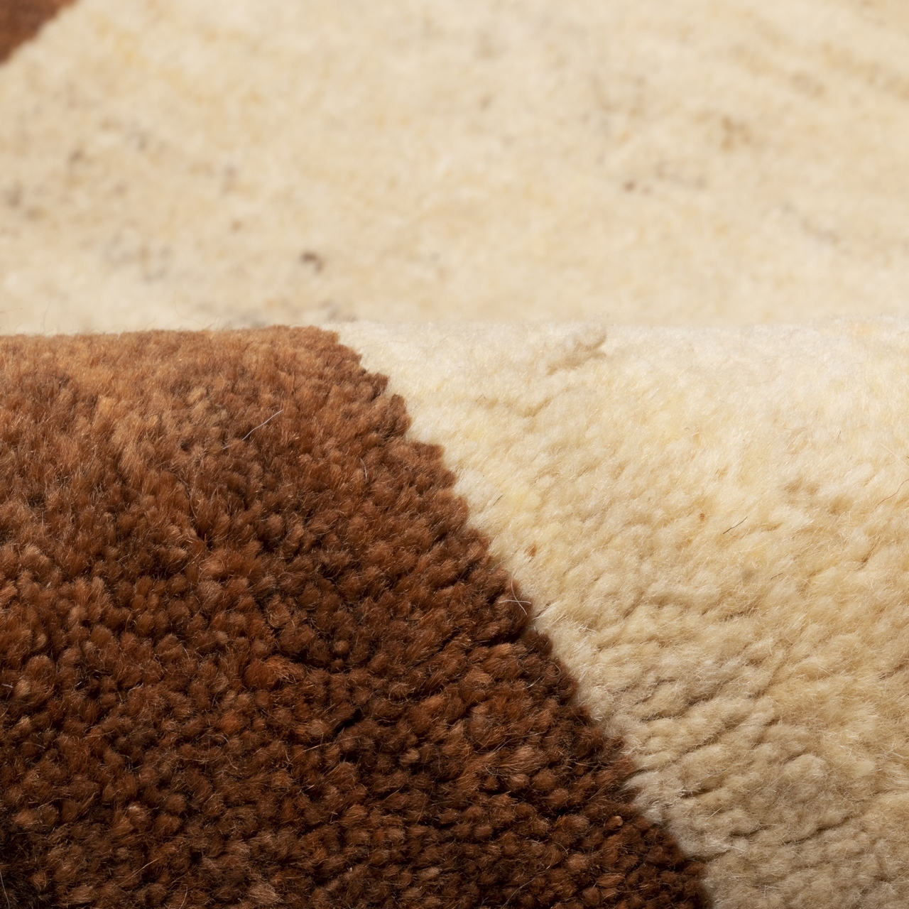 Persian Gabbeh Rug with Wool Authentic Handwoven in Fars Animal Motifs