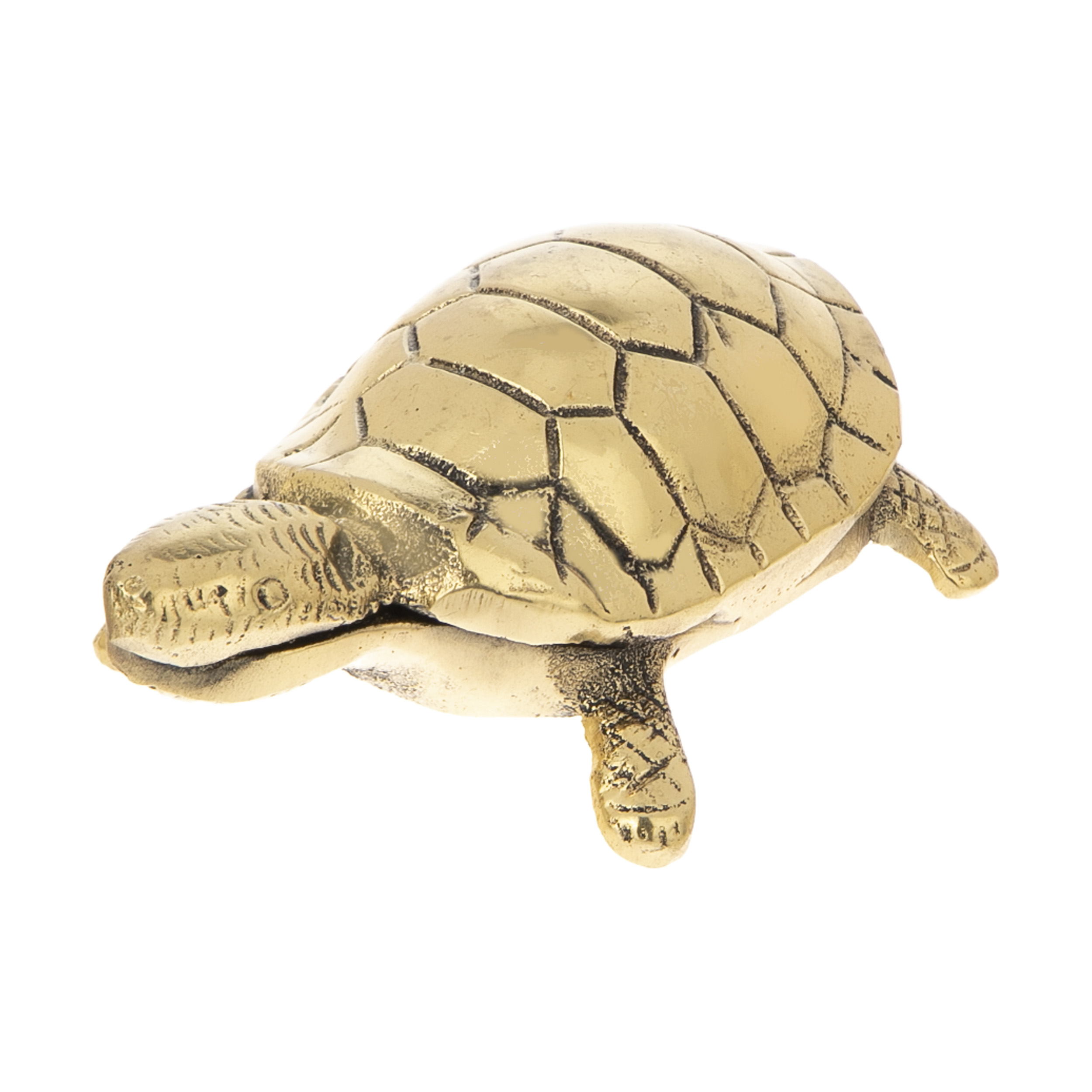 Turtle Decorative Figurine Statue – Enhance Your Living Space