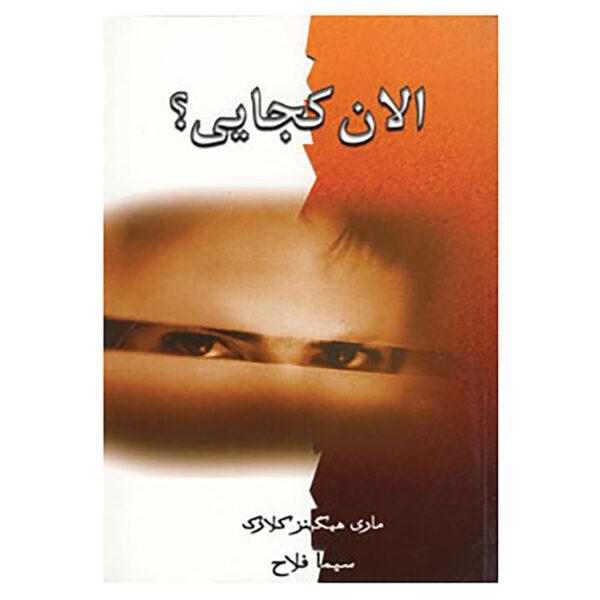 Where Are You Now? by Mary Higgins Clark (Farsi)