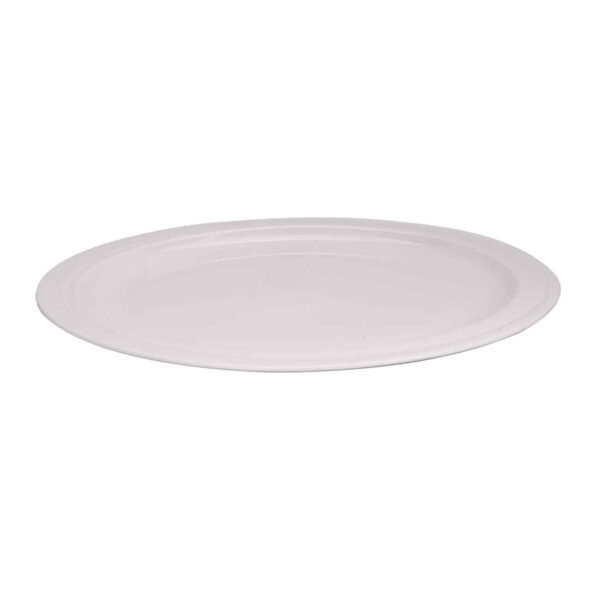 White Ceramic Dinnerware Plate – Microwave and Dishwasher Safe (Pack of 2)