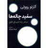 White Holes: Inside the Horizon Book by Carlo Rovelli (Farsi)