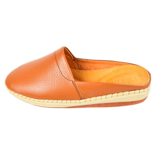 Women's Natural Leather Mules Shoes for Comfort and Stylish in Brown