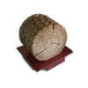 Wooden Coasters - Tree Trunk Design with Holder (Pack of 6)