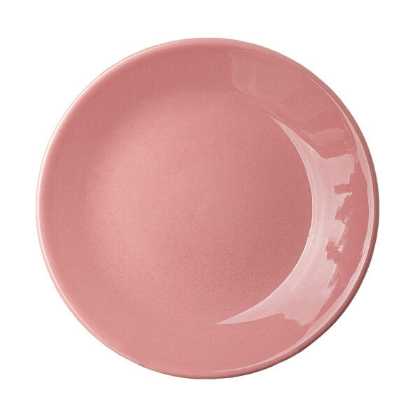 Ceramic Dinnerware Plate - Microwave & Dishwasher Safe, Scratch Resistant, Set of 6