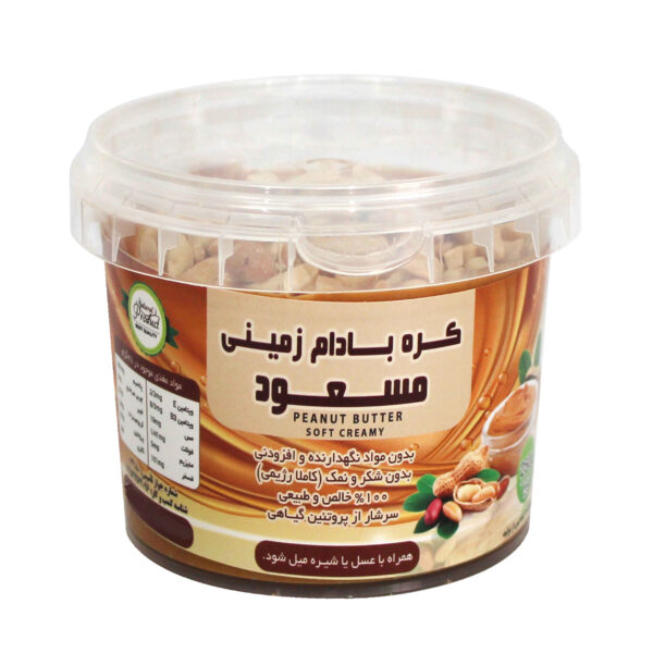 Iranian Chocolate Peanut Butter – Diet Crunchy & Dark Chocolate, 250 gram (2x)