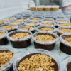 Iranian Chocolate Peanut Butter – Healthy, Delicious & Nutritious 250 gr (2x)