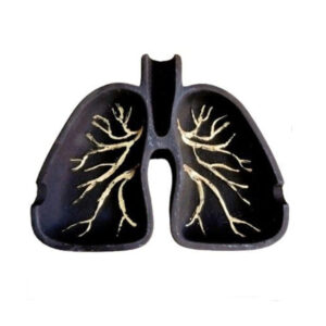 Novelty Stone Ashtray – Lung Model, Artistic Stone Craft