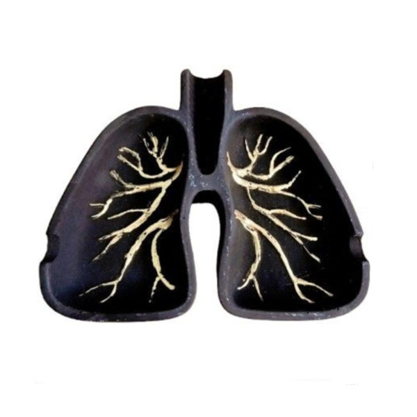 Novelty Stone Ashtray – Lung Model, Artistic Stone Craft