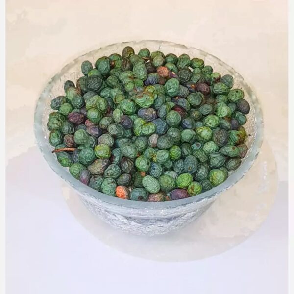 Raw Kurdish Pistachios – Wild Mountain Pistachios, Pistacia Atlantica – 1000 gr