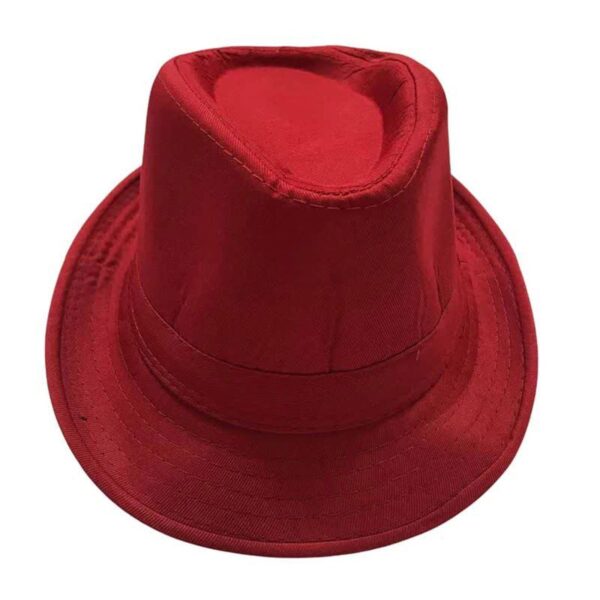Traditional Iranian Shapoo Hat in Red – Handcrafted, Stylish & Unique