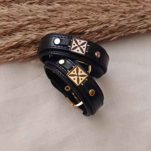 Men’s Leather Bracelet with Kaveh Flag, Silver and Gold Color, Stainless Steel, Color-Resistant