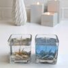 Sea Breeze Glass Jar Candle Set of 2 – Handcrafted & Ocean-Inspired