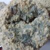 Dry Local Tarkhineh from Kermanshah with Wild Mint - 2000 gr