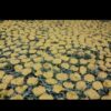 Dry Local Tarkhineh from Kermanshah with Wild Mint - 2000 gr
