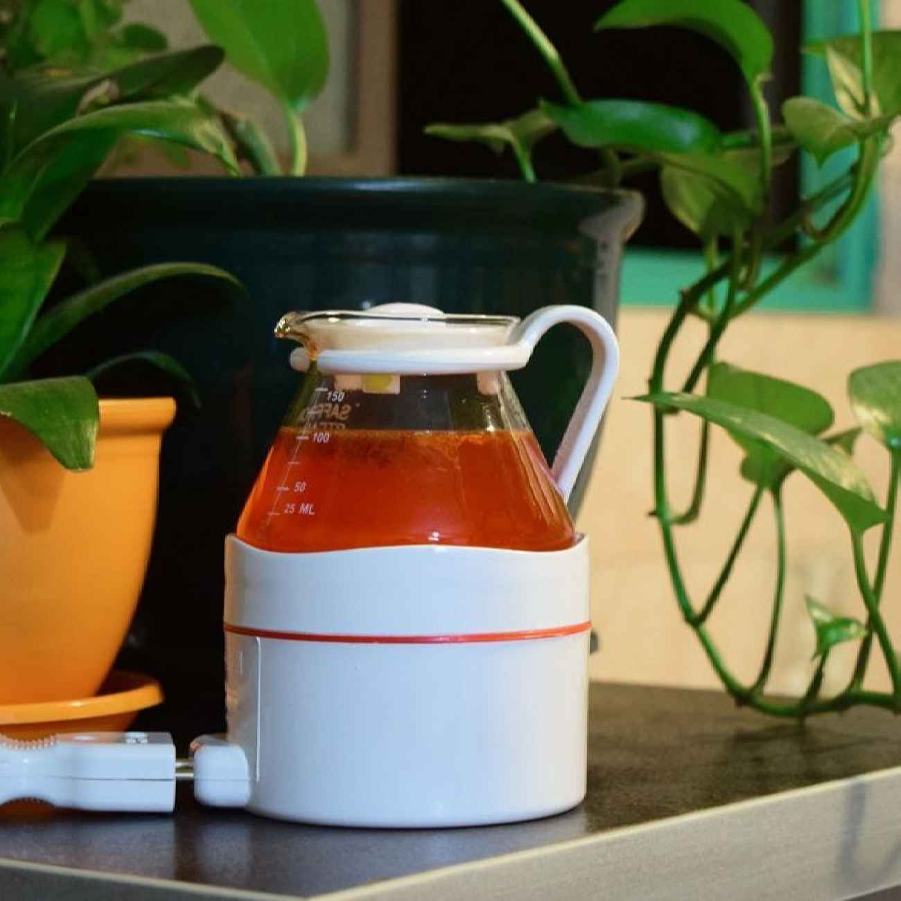 Electric Brew-Saffron Steamer – for Brewing & Infusing Flavor