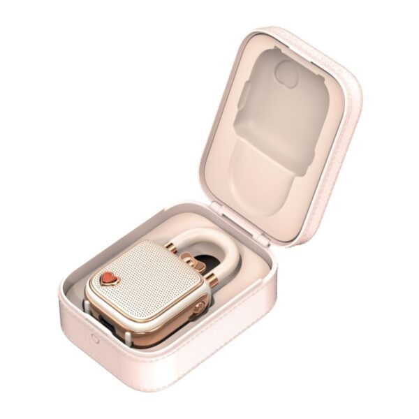 Portable Bluetooth Speaker – Model Love Lock