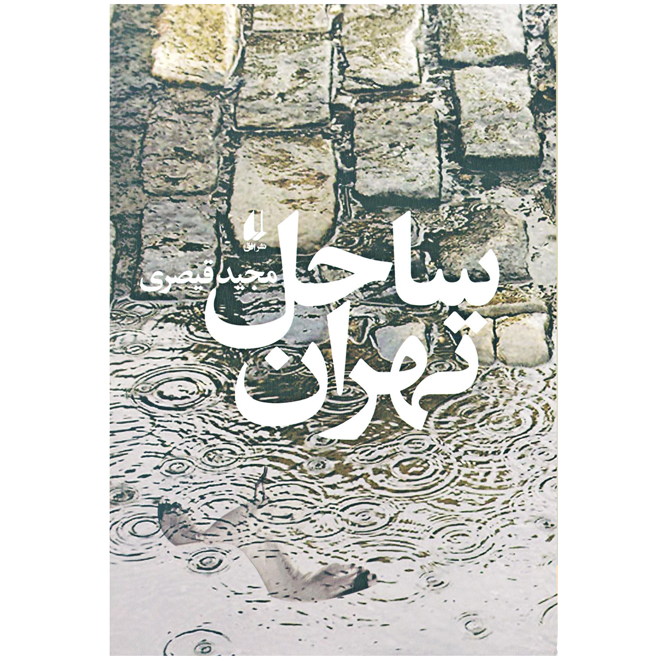 Tehran's beach by Majid Gheisari (Farsi)