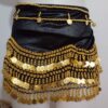 Coin Belly Dance Hip Scarf – Suitable for Beginners and Professionals (3)