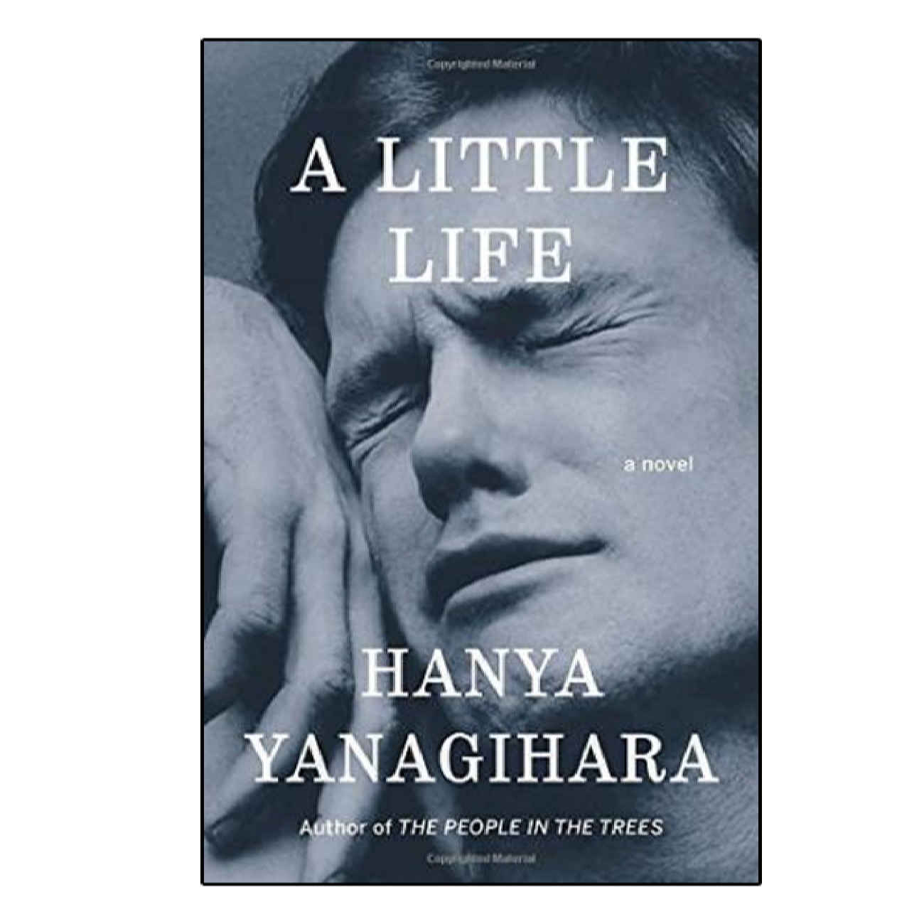 A Little Life Book by Hanya Yanagihara