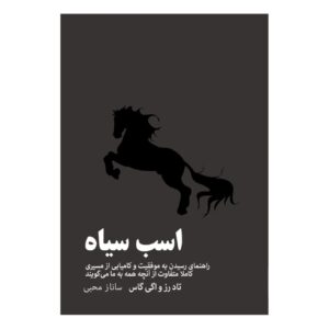 Dark Horse by Todd Rose and Ogi Ogas (Farsi)