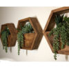 Hexagon Wall-Mounted Cactus Planter - Wooden Material (1Pc)