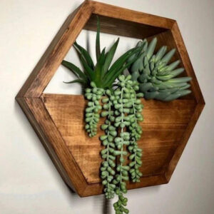 Hexagon Wall-Mounted Cactus Planter – Wooden Material