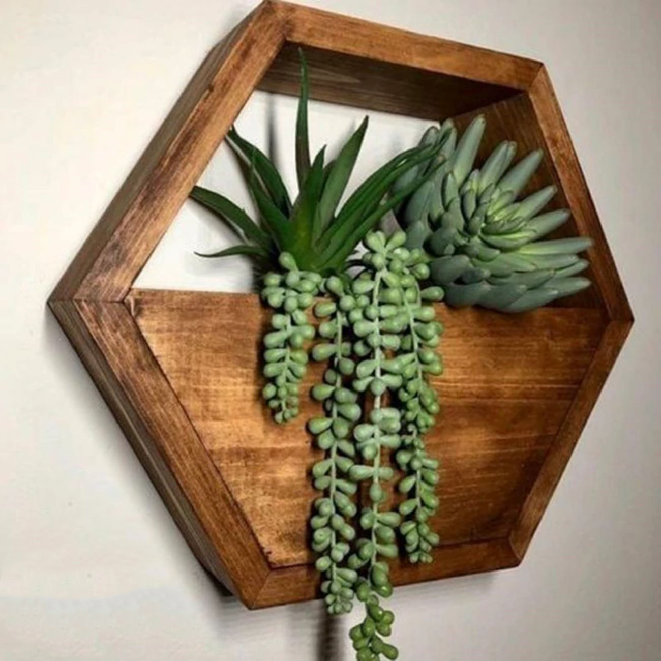 Hexagon Wall-Mounted Cactus Planter - Wooden Material (1Pc)
