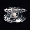 Large Seashell-Shaped Jewelry Stand for Displaying Rings, Earrings, etc