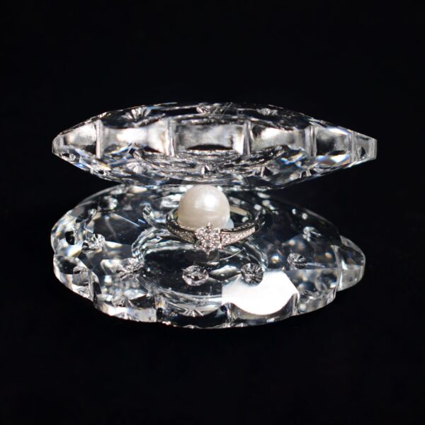 Large Seashell-Shaped Jewelry Stand for Displaying Rings, Earrings, etc