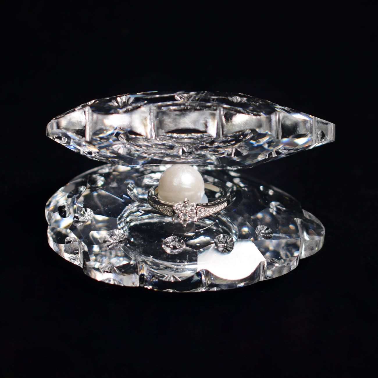 Large Seashell-Shaped Jewelry Stand for Displaying Rings, Earrings, etc