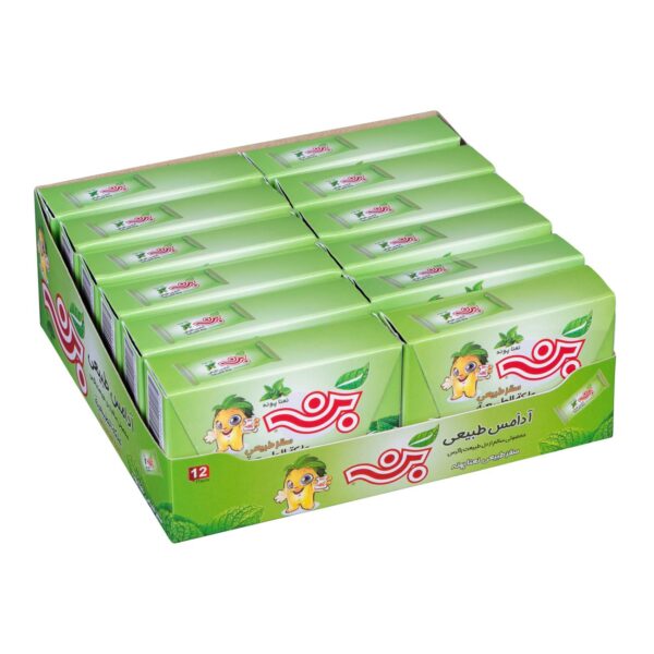 Natural Chewing Gum with Pennyroyal Mint Flavor – 12-Piece Pack