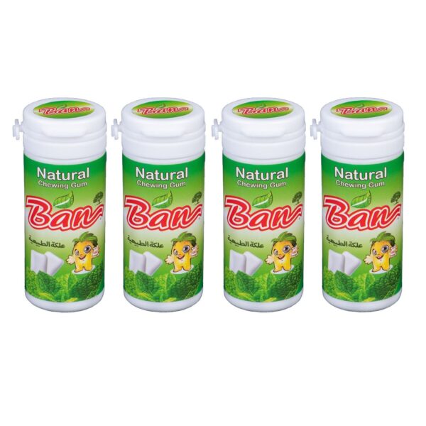 Natural Gum with Mint Flavor – Ideal for Freshening Breath Anytime Pack of 4