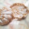 Seashell-Shaped Resin Jewelry Holder for Rings, Earrings, and Small Accessories (1)