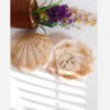 Seashell-Shaped Resin Jewelry Holder for Rings, Earrings, and Small Accessories