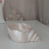 Seashell Trinket Dish – Suitable for Rings & Earrings