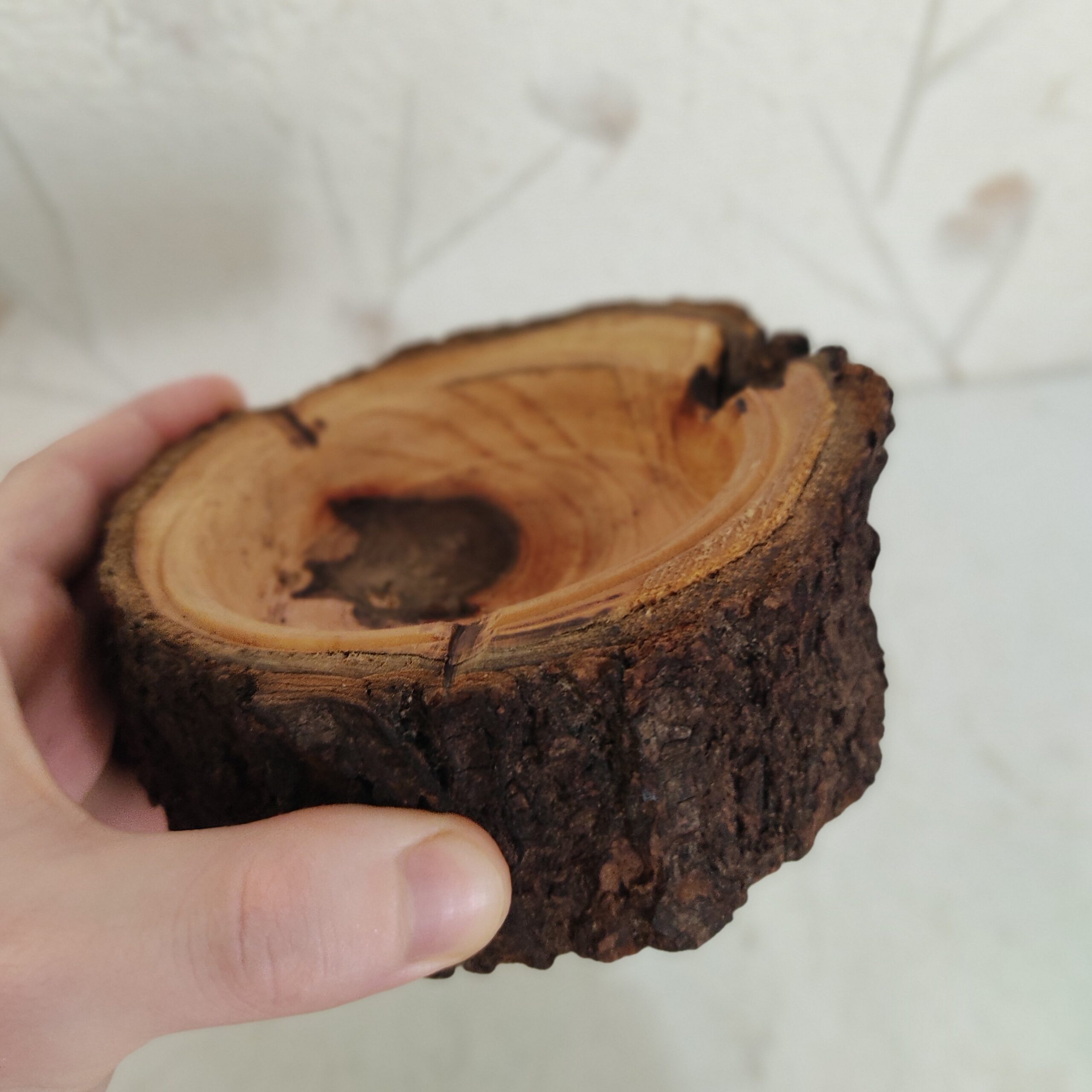 Tree Trunk Log Ashtray – Suitable for Eco-Friendly and Rustic Spaces
