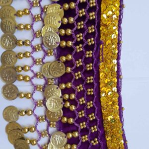 Belly Dance Coin Scarf – Rave, Halloween, and Festival Hip Wrap