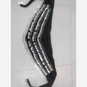 Belly Dance Coin Scarf – Shiny Hip Wrap for Performers & Costumes