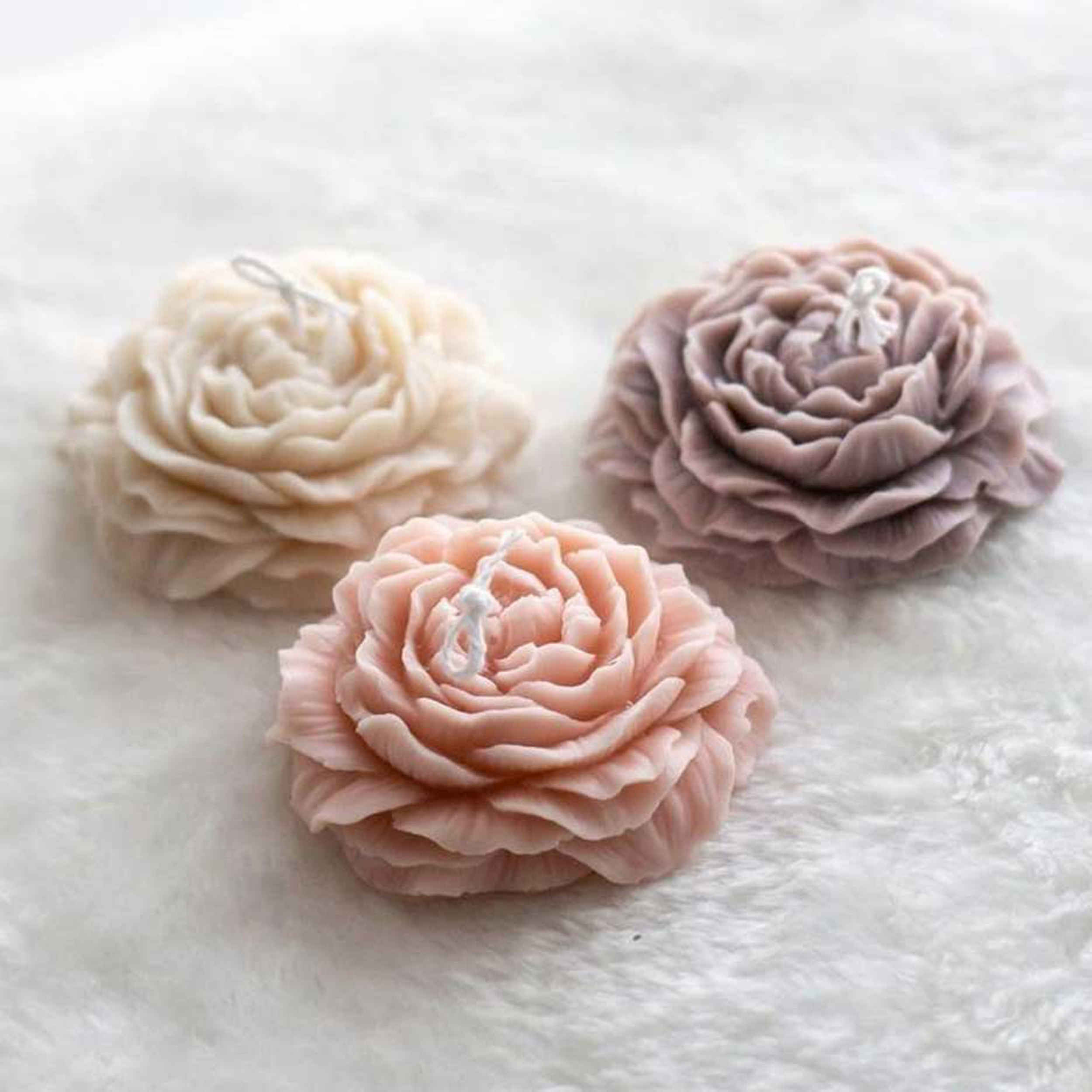 Candle Mold Set – Includes Anemone, Daisy & Classic Rose Designs 3-Piece