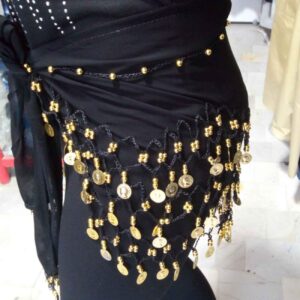 Chiffon Belly Dance Hip Scarf – Perfect for Festival with Silk Thread & Coins