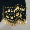Chiffon Belly Dance Hip Scarf - Perfect for Festival with Silk Thread & Coins