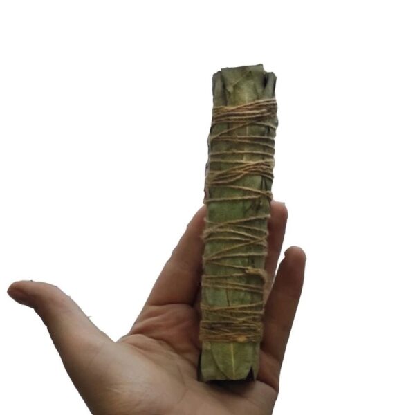 Natural Eucalyptus Smudge Stick – Suitable for Purification and Meditation