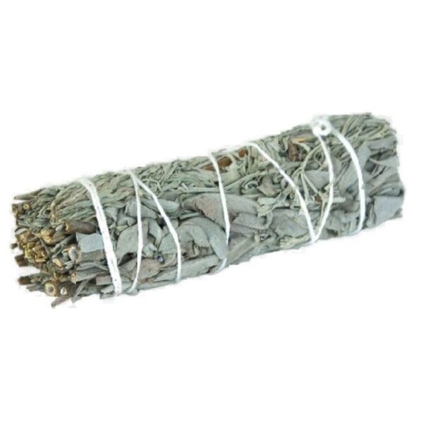 Sage Smudge Stick – Purifying and Aromatic, Traditional Style (Pack of 2)