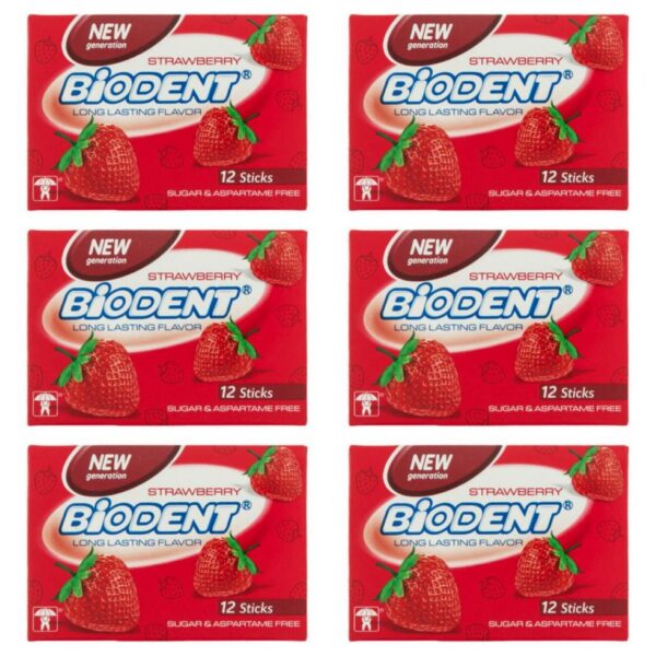 Watermelon Chewing Gum by Biodent – 12 Pcs